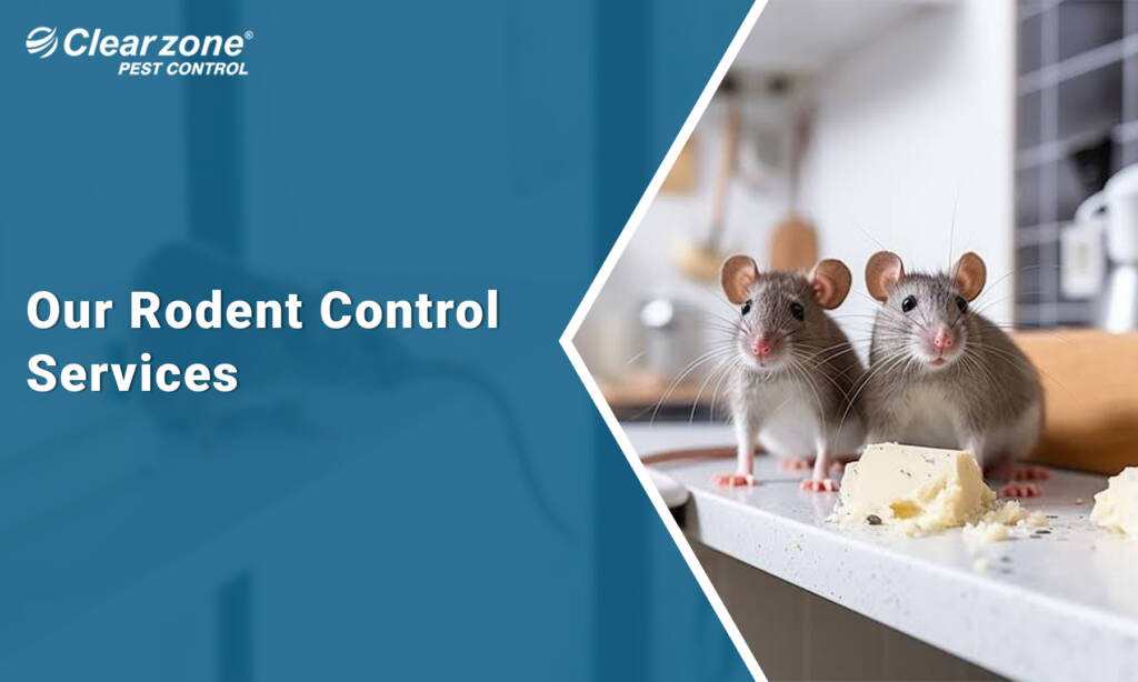 rodent control services