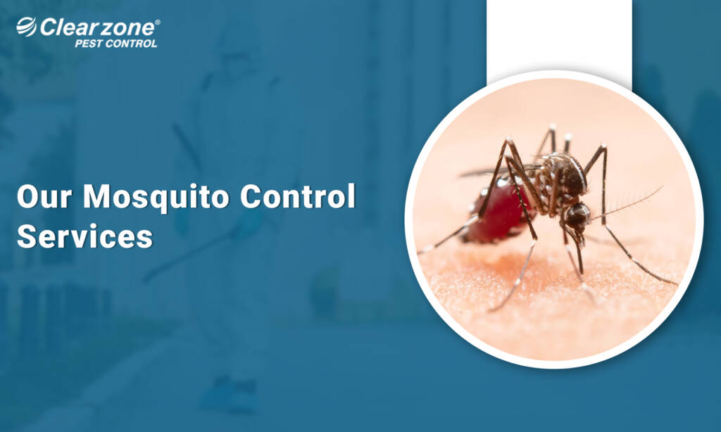 Mosquito control