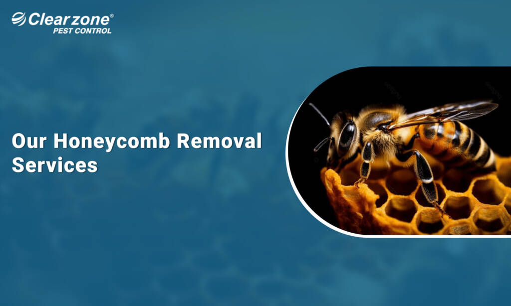 Honeycomb Removal