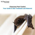 Clearzone Pest Control: Your Expert Guide to Bat Treatment and Removal