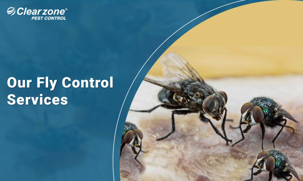 Fly Control solutions