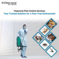 Clearzone Pest Control Services: Your Trusted Solution for a Pest-Free Environment