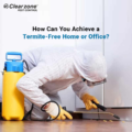 How Can You Achieve a Termite-Free Home or Office?