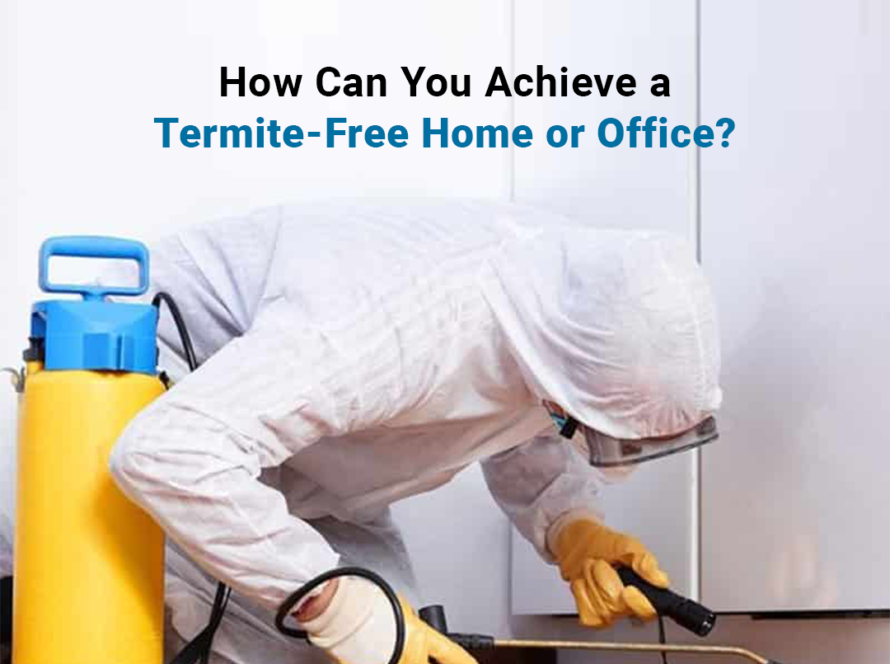 termite-free home or office