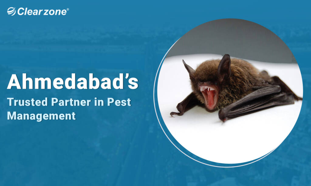 Our Bat Control Solutions in Ahmedabad