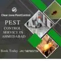अहमदाबाद में गर्मी के लिए बेस्ट Anti-Termite Treatment – दीमक से बचाओ अभी!