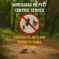 🐜 Ahmedabad Me Pest Control Service – Cockroach, Ants aur Mosquito Sabka The End!