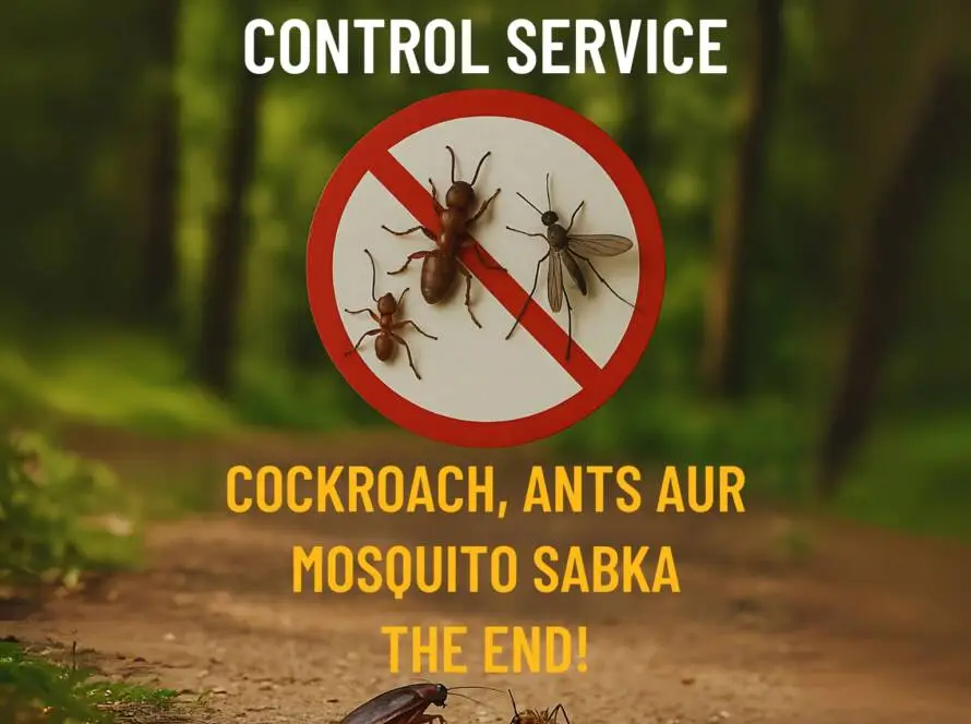 Realistic promotional image showing a cockroach, ant, and mosquito crossed out in a red circle, promoting pest control services in Ahmedabad. Ahmedabad Me Pest Control