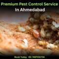 Premium Pest Control Service in Ahmedabad – Say Goodbye to Termite Troubles!