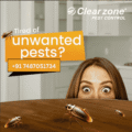 Exclusive Pest Solutions – Safe, Odorless & 100% Effective