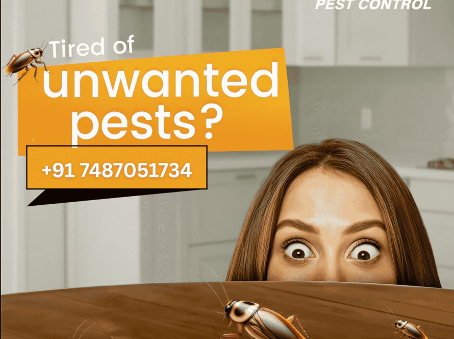 Exclusive Pest Solutions