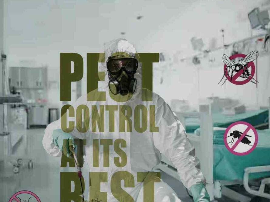 Professional Mosquito Treatment in Ahmedabad – Clearzone Pest Control team providing safe and odourless mosquito control service.