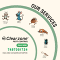 24/7 Pest Control in Ahmedabad | Clearzone