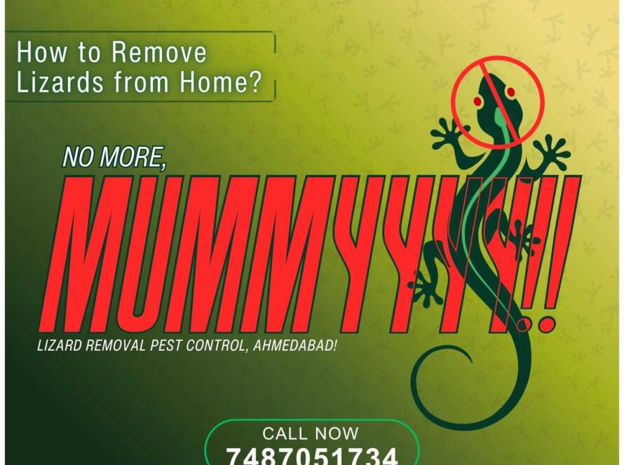 Remove Lizards from Home | Safe and Effective Lizard Control in Ahmedabad by ClearZone Pest Control