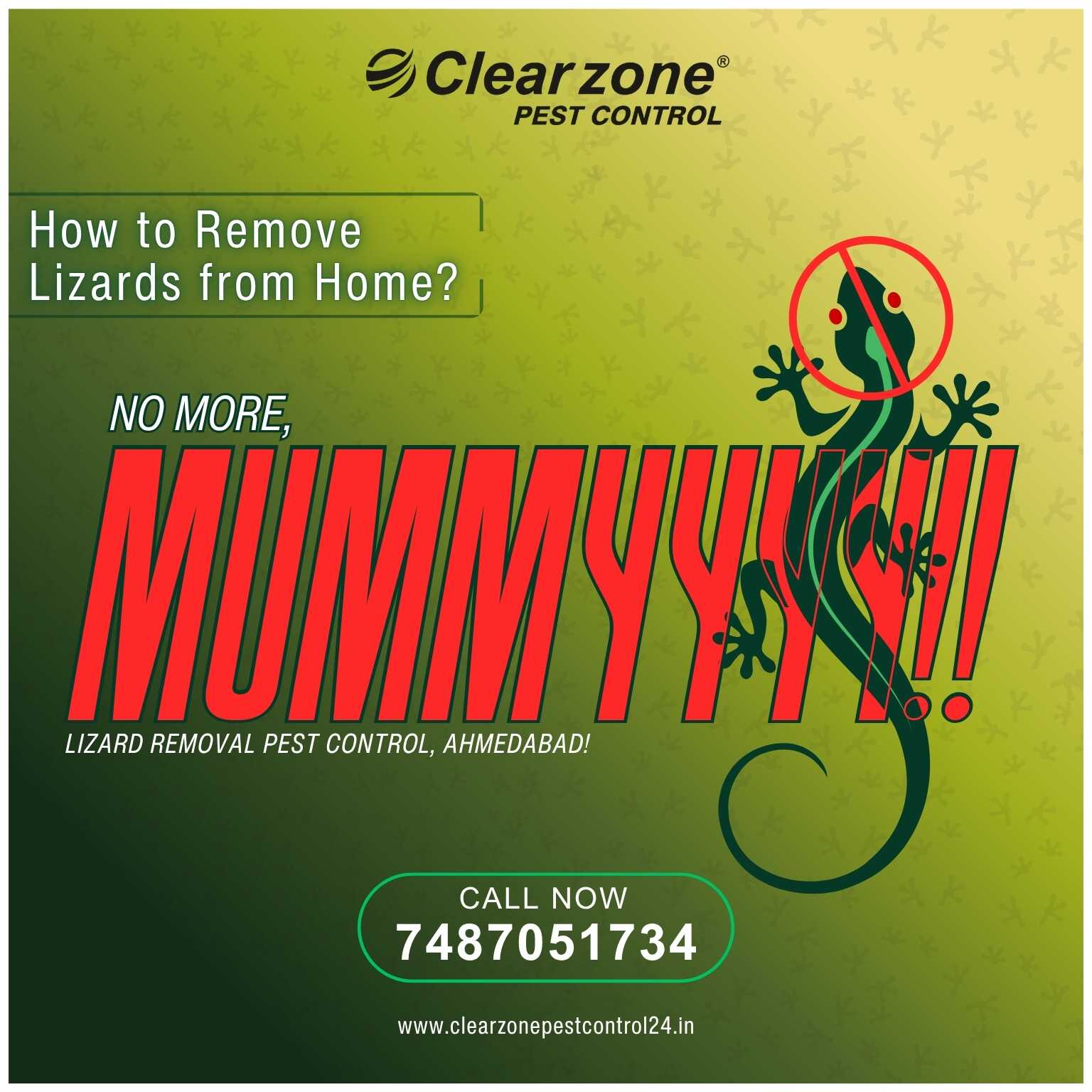 Remove Lizards from Home | Safe and Effective Lizard Control in Ahmedabad by ClearZone Pest Control