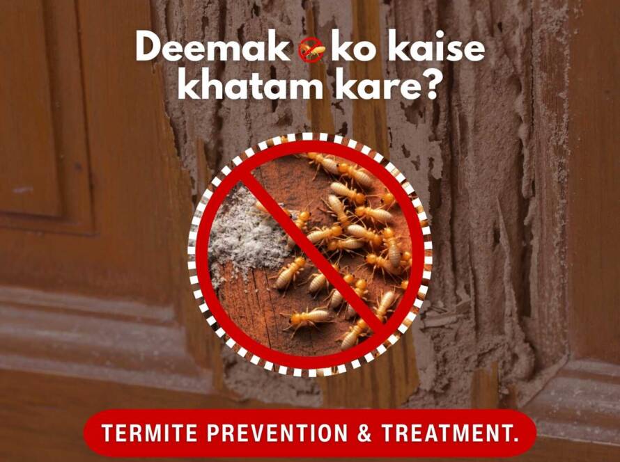 Deemak Ko Kaise Khatam Kare? Termite prevention and treatment by Clearzone Pest Control