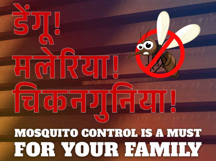 Mosquito Control Is a Must for Your Family to prevent dengue, malaria and chikungunya.
