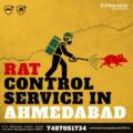 Rat Control Service in Ahmedabad
