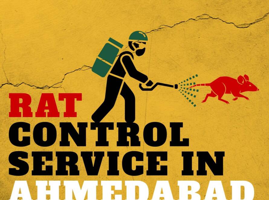 Professional Rat Control Service in Ahmedabad for homes and businesses