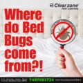 Where Do Bed Bugs Come From? – Effective Bed Bug Treatment
