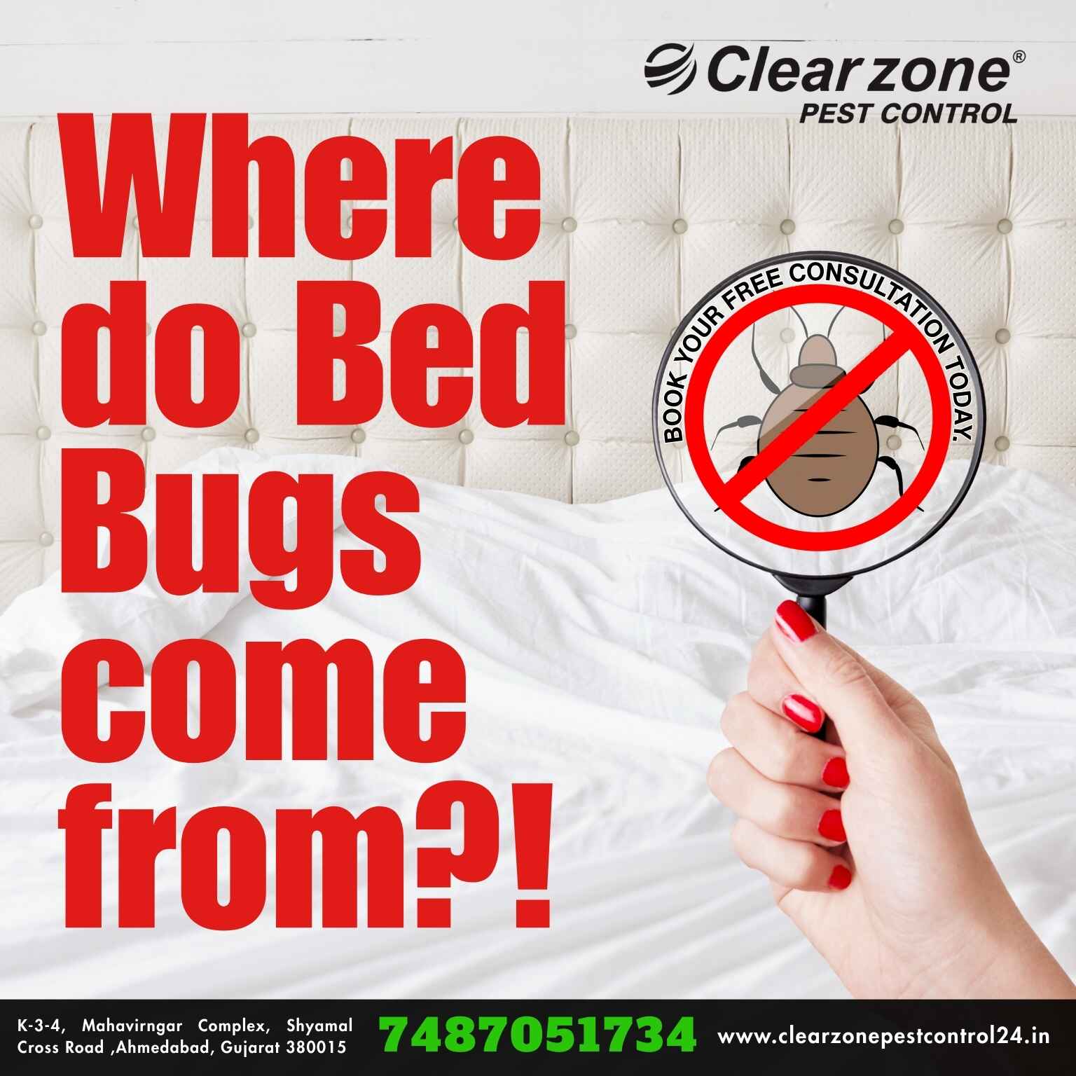 Bed bug awareness image for Effective Bed Bug Treatment
