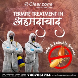 Termite Treatment in Ahmedabad | Safe & Effective Termite Control
