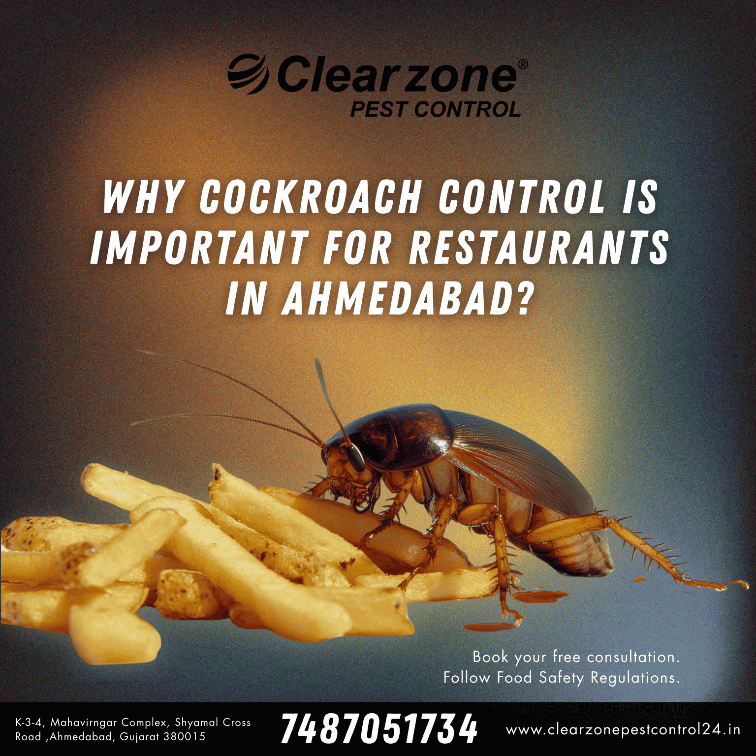 Cockroach Control service for restaurant hygiene and food safety
