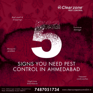 5 Signs You Need Pest Control in Ahmedabad