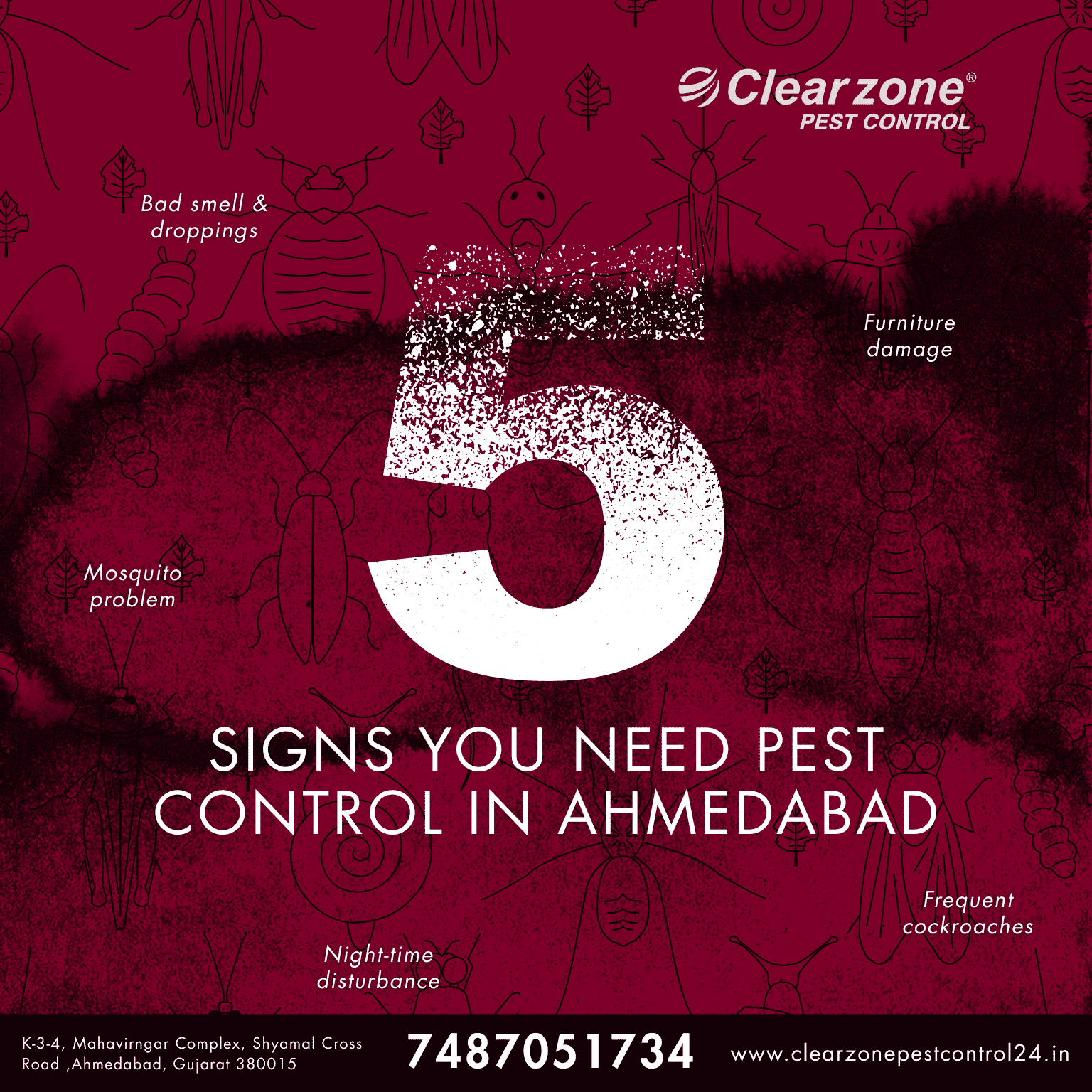 5 Signs You Need Pest Control in Ahmedabad showing common pest problems like cockroaches, termites and mosquitoes