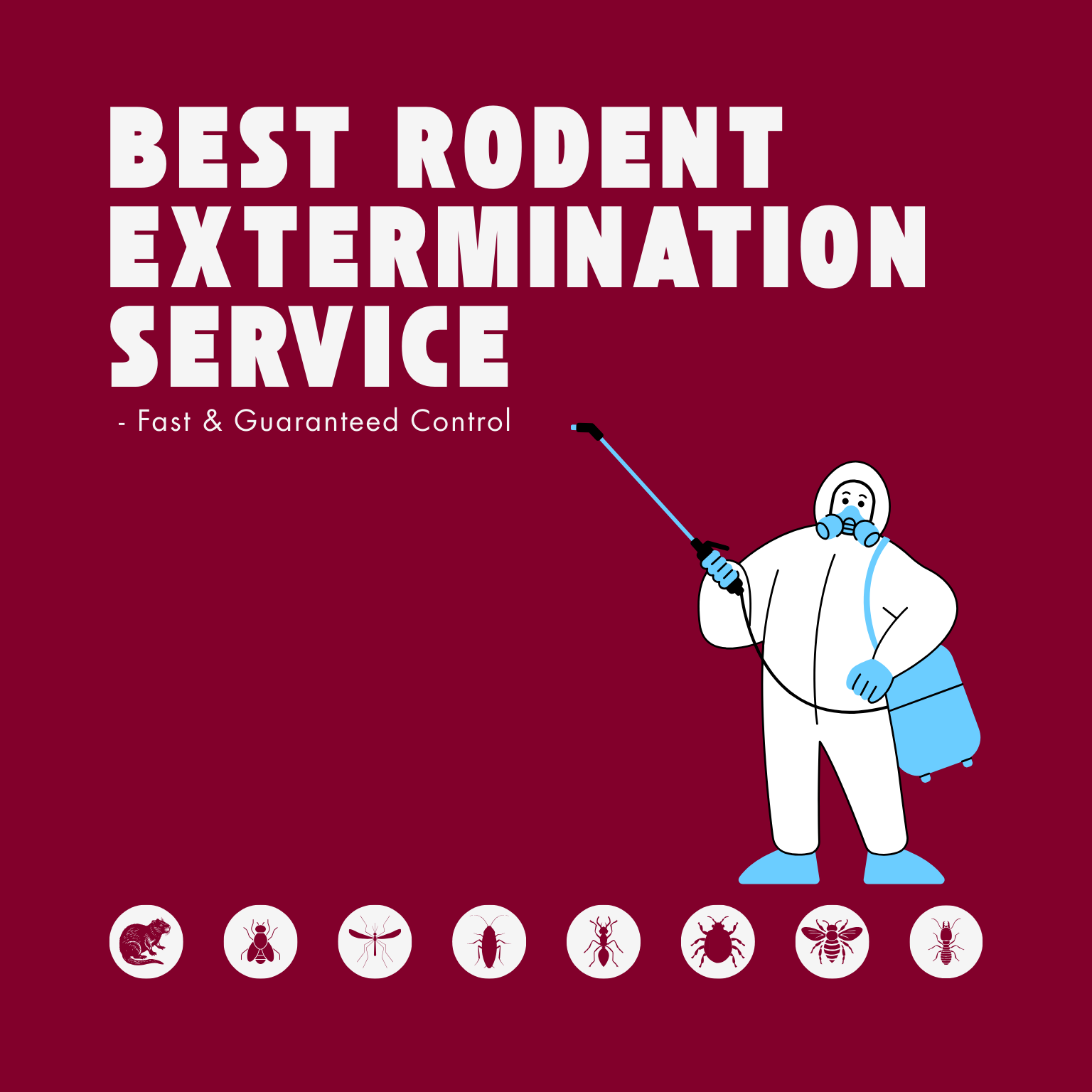 Professional rodent extermination service removing rats and mice with fast and guaranteed pest control solutions