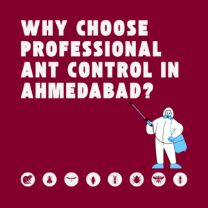 Why Choose Professional Ant Control Services in Ahmedabad?