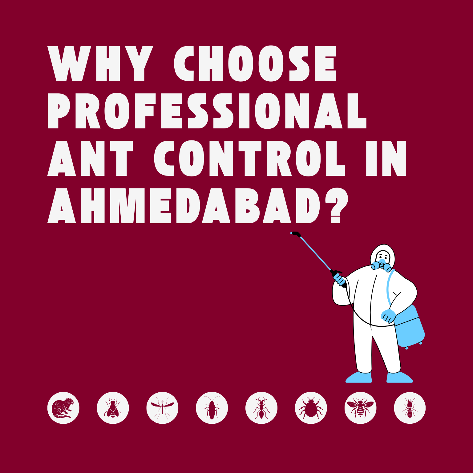 Professional Ant Control Services in Ahmedabad