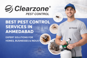Best Pest Control Services in Ahmedabad | Pricing, Services & Certified Experts