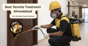 Best Termite Treatment in Ahmedabad – Cost, Methods & Expert Solutions