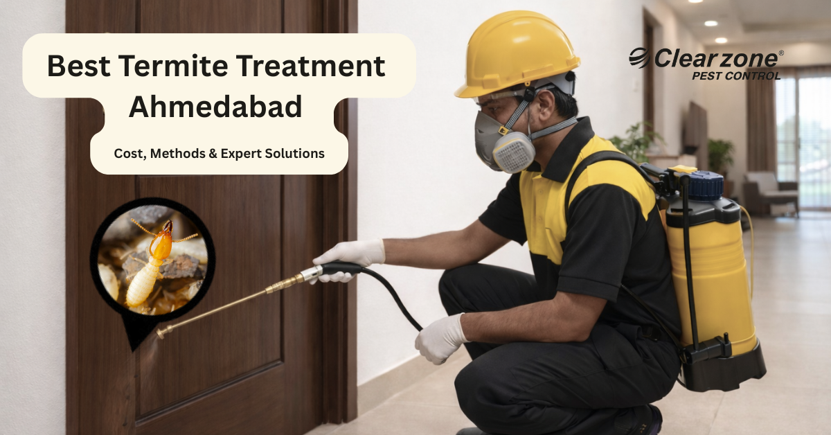 Best Termite Treatment in Ahmedabad