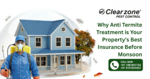 Why Anti Termite Treatment is Your Property’s Best Insurance Before Monsoon
