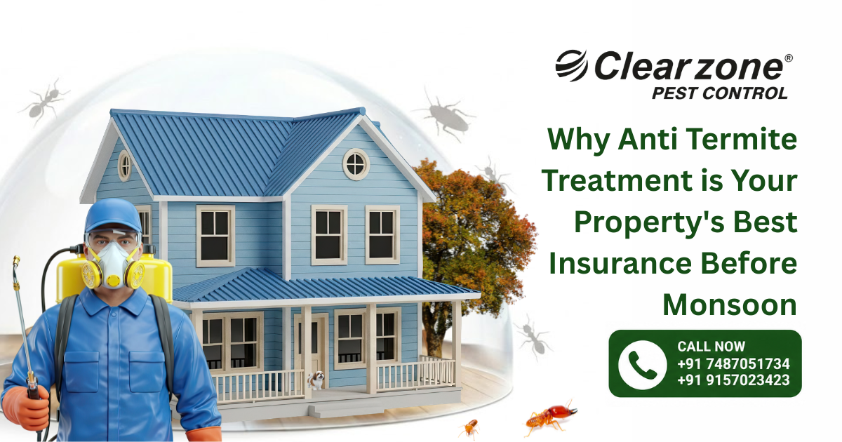 Anti Termite Treatment