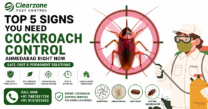 Top 5 Signs You Need Cockroach Control Ahmedabad Right Now